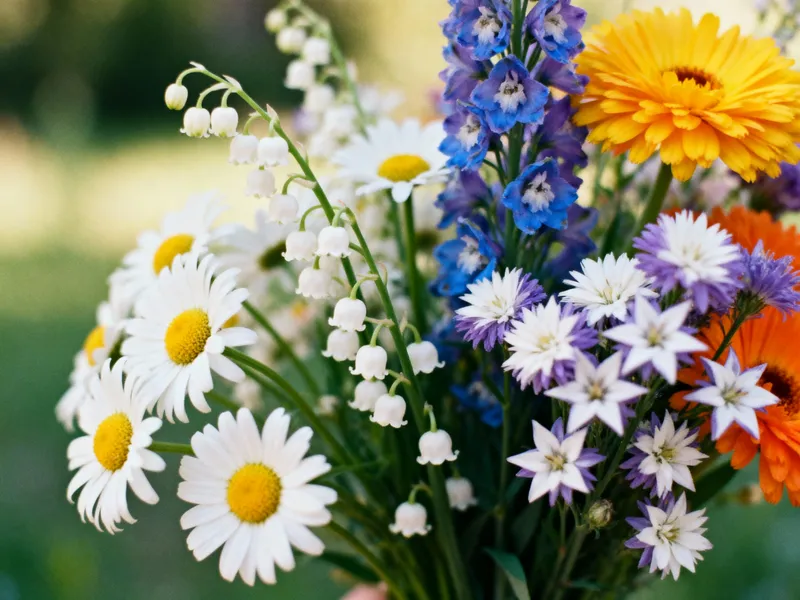 Daisy & Lily of the Valley Bouquet Creations