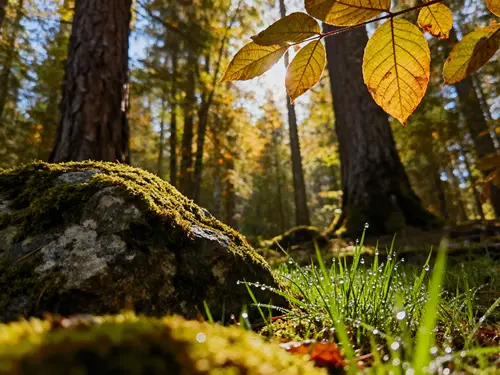 Hyper Realistic Photo - Stunning Visuals