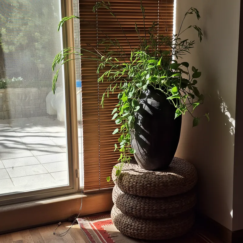 Plants in a Pot: A Cozy Green Decor Idea Plants in a Pot: A Cozy Green Decor Idea