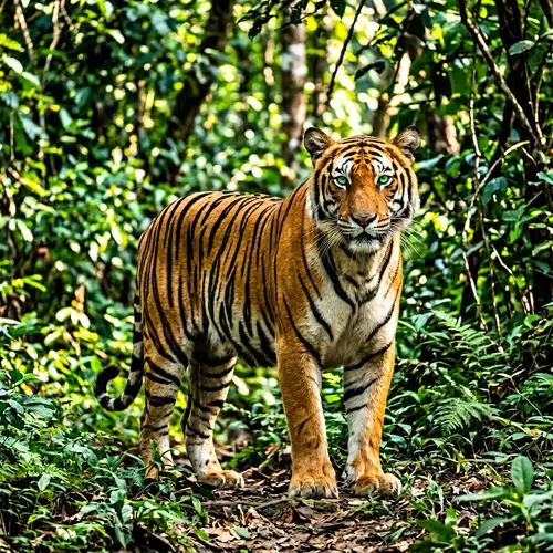 Majestic Tiger in Lush Jungle Setting