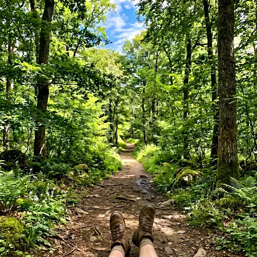 Imagining Your Desired Destination: Take the First Steps