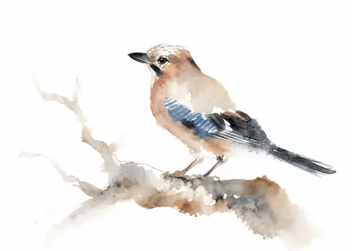 Serene Minimalist Watercolor of Eurasian Jay