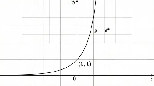 Exponential Function Graph y = e^x | Math Visualization
