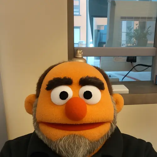 Transform Your Image into a Muppet