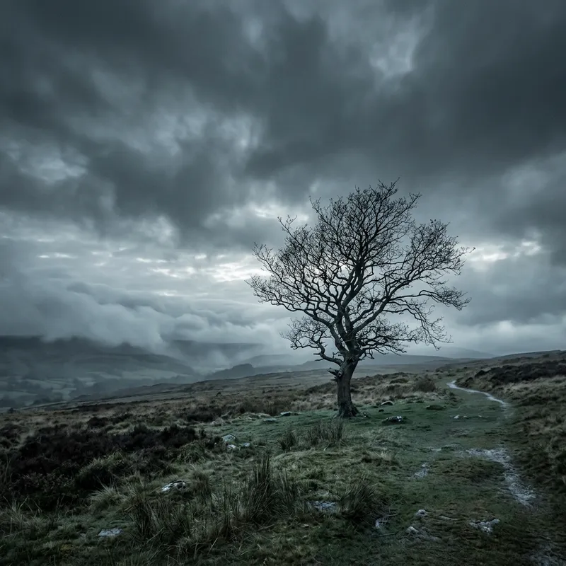 Triste Natural Scenes: Melancholic Tranquility Triste Natural Scenes: Melancholic Tranquility