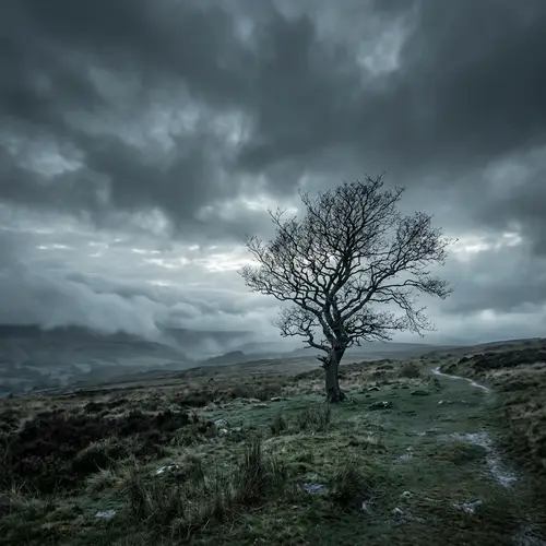 Triste Natural Scenes: Peaceful Solitude and Calm Tranquility