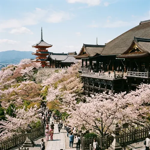 Japanese Temple Under Cherry Blossoms