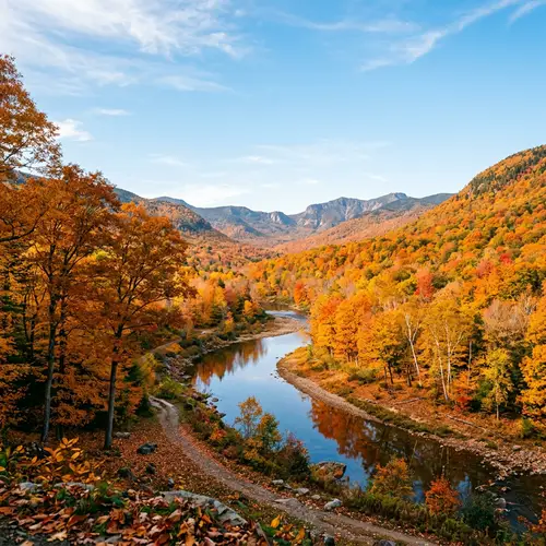 Tranquil Autumn Landscape Photography | Vivid Orange & Gold Leaves