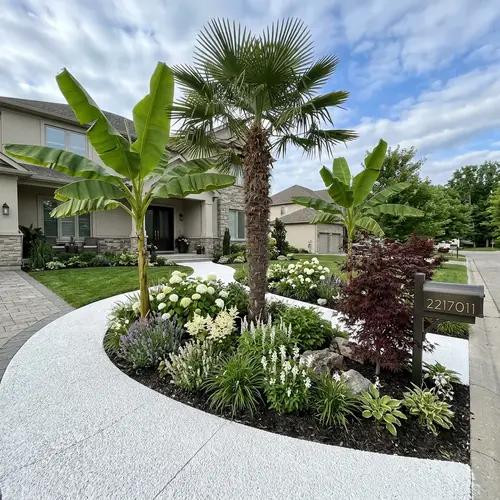 Beautiful White Garden Layout with Palm and Banana Plants