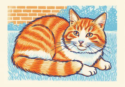 Pudge the Cat in Risograph Style at BGSU