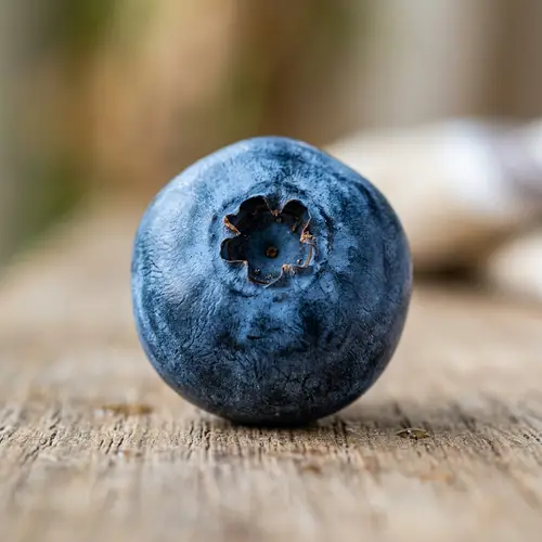 Fresh Blueberry - Ripe, Plump, and Radiant