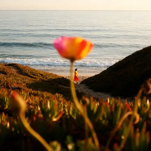 Create an Attractive Design with a Vast Ocean