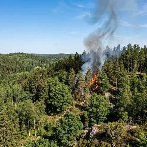 Forest Fire in Serene Landscape - Nature's Power