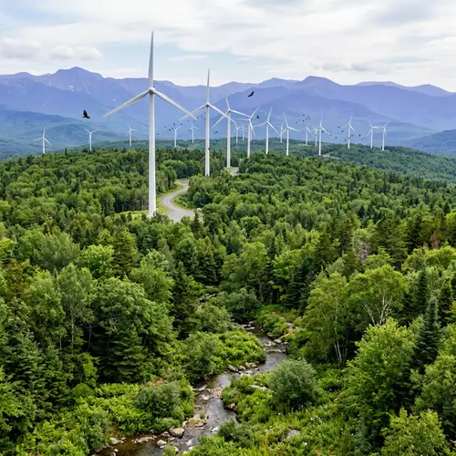 Wind Energy Farm in Dense Forest - Sustainable Energy Solution