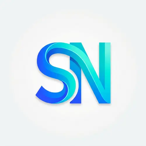 Stylish 2D Logo Design with S and N Letters