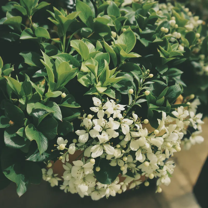 Diverse Women and Men with Unique Hairstyles