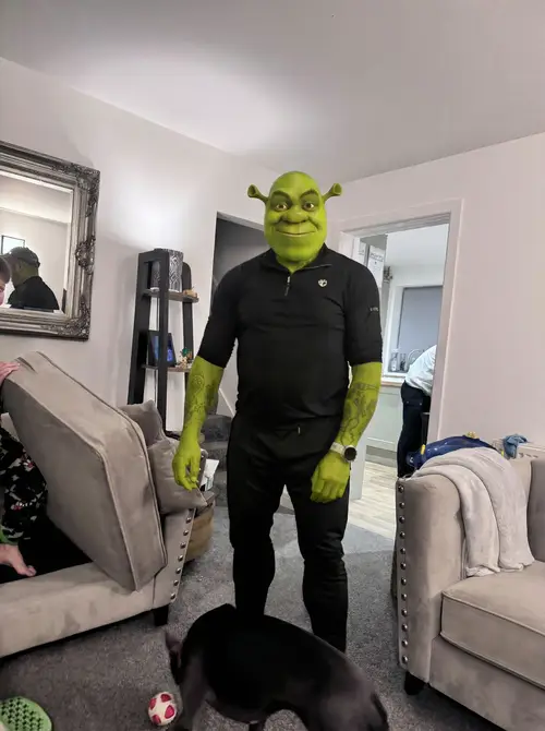 Shrek Character in Unusual Art