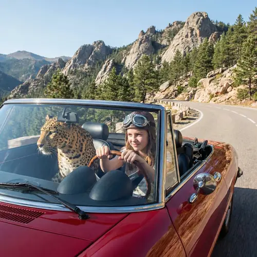 Caucasian Teenager Driving Classic Sports Car with Leopard Passenger
