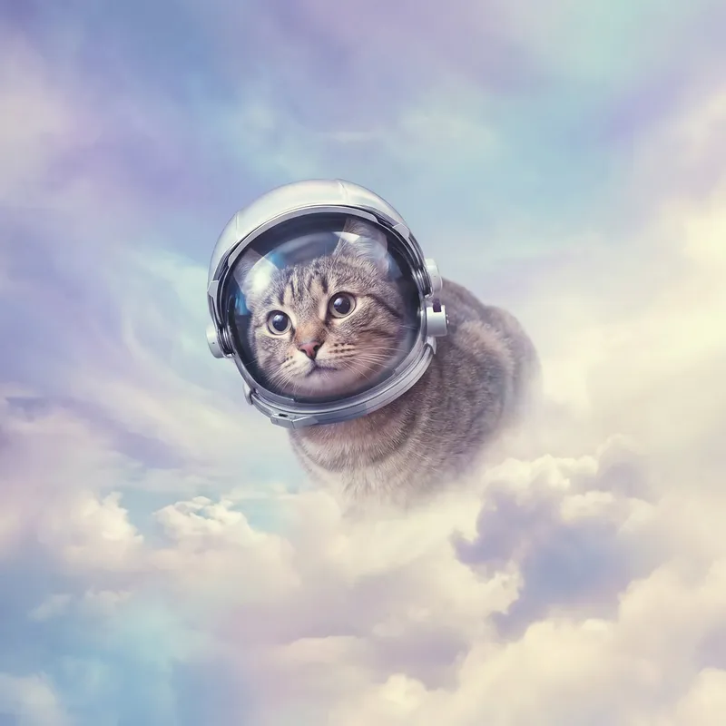 Astronaut Cat in Dreamy Sky Exploration