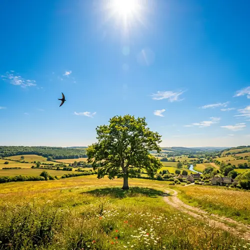 Serene Summer Landscape | Symbol of Solitude with Lush Tree