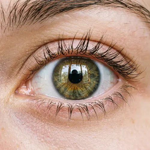 Detailed Close-Up of Eye with Individual Eyelashes and Reflections