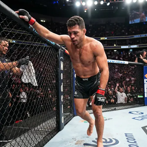 MMA Fighter: Skills, Training & Competitions