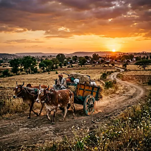 Rustic Countryside Scenery with Vintage Charm | DSLR Photography