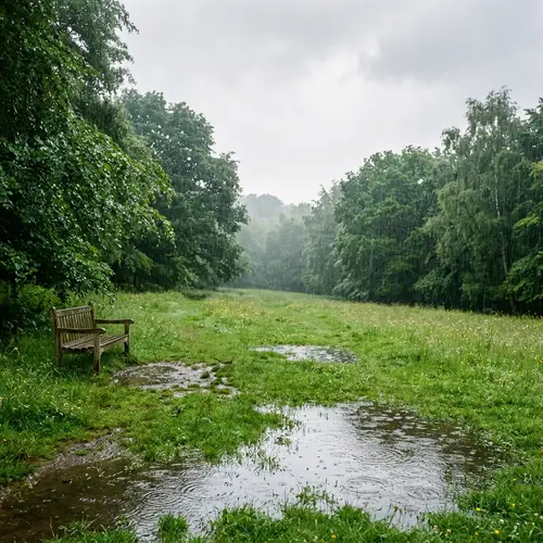 Tranquil Rainy Day Scene in Lush Meadow - Serene Nature Landscape