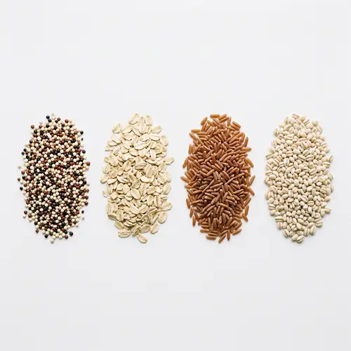 Modern Minimalist Whole Grains | Elegant Assortment