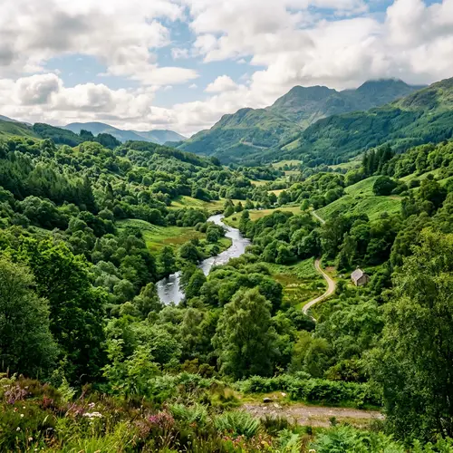 Rich Greenery Landscape | Natural Beauty View