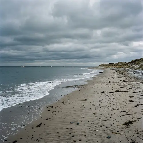 Winter Beach: Solitude and Reflection | Tranquil Seascape