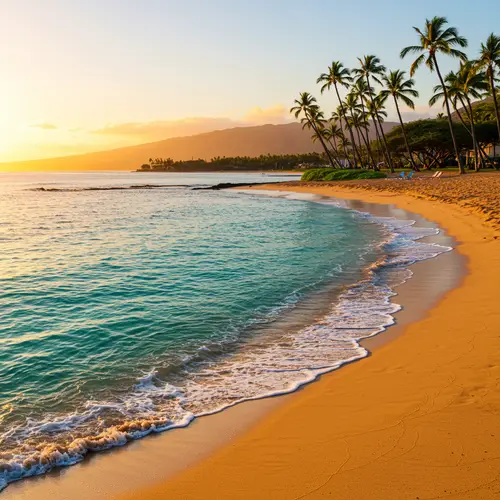 Stunning Hawaii Beach and Ocean View