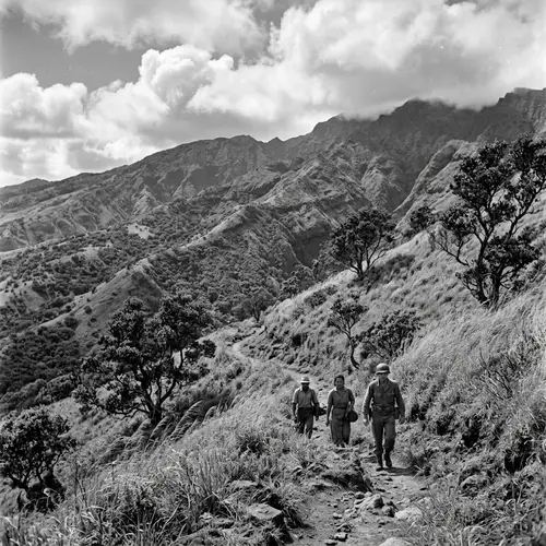 Scenic Hawaiian Mountain Slopes with Native Flora