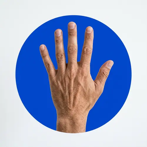 Human Hand in Blue Circle | Abstract and Minimalist Image