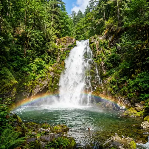 Tranquil Waterfall in Lush Forest | Nature's Beauty
