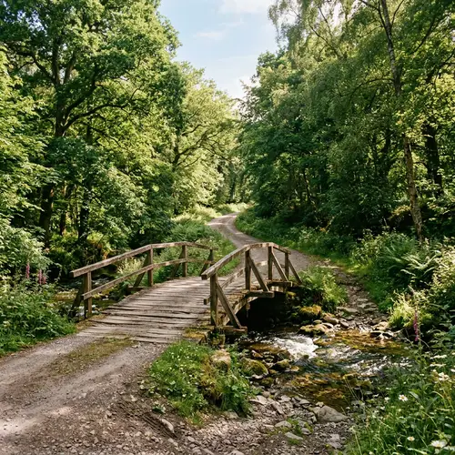 Tranquil Scene: Small Bridge on Rural Road