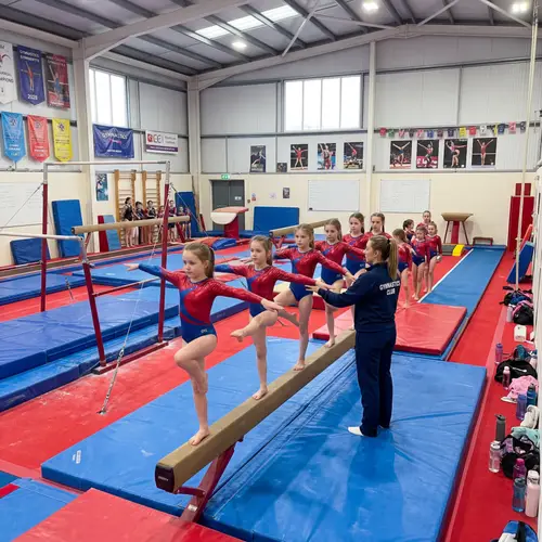 Young Girls Gymnastics Class in Red and Blue Leotards