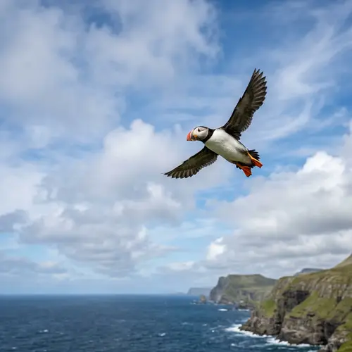 Puffin Flying in the Sky