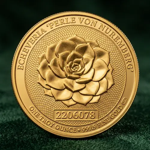 Transforming Objects into Golden Coins