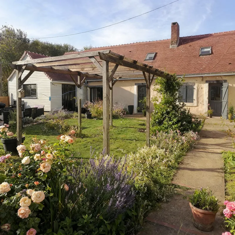 Explore the Beauty of an English Garden