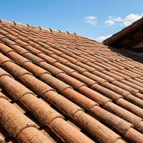 Terracotta Roof Tiles: A Detailed View of Chapa de Techo