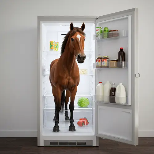 Horse in the Fridge: A Unique Concept