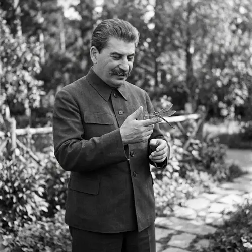 Stalin Shows a Dragonfly: A Unique Moment