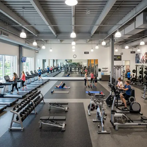 Modern Gym with Diverse Fitness Equipment