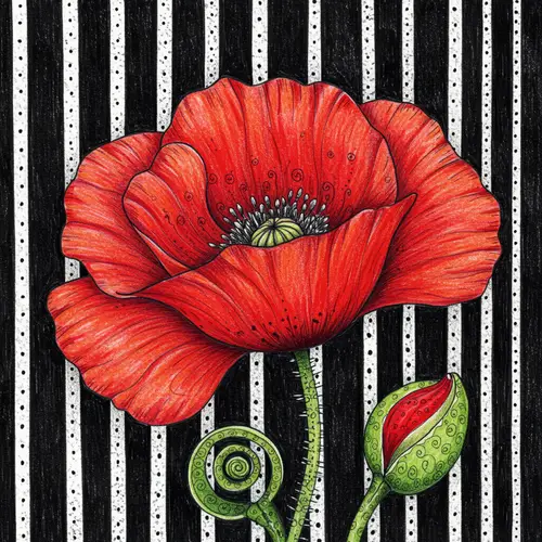 Vibrant Red Poppy Botanical Illustration