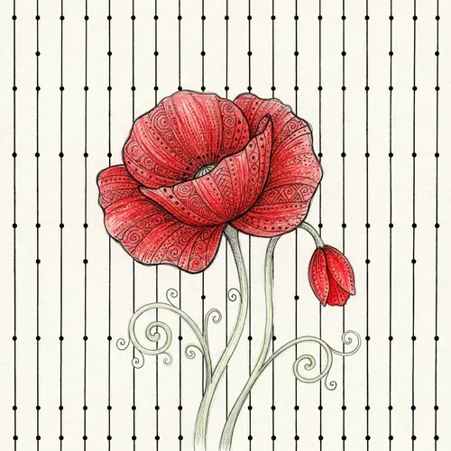 Vibrant Red Poppy Botanical Illustration
