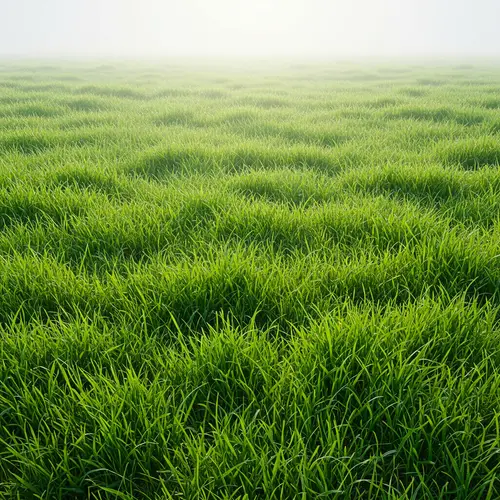 Explore the Beauty of Grass Terrain