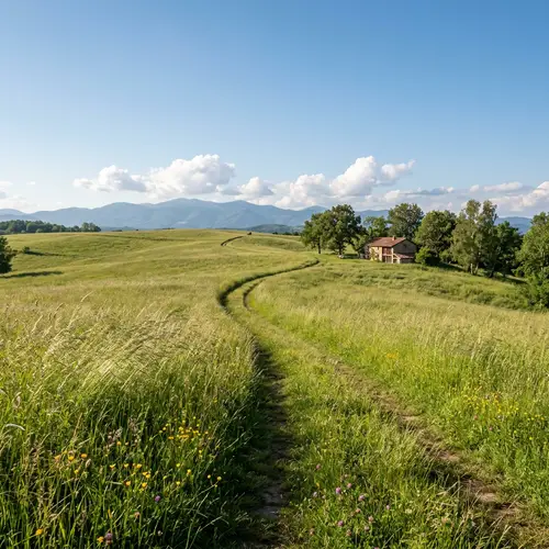Explore the Beauty of Grass Terrain