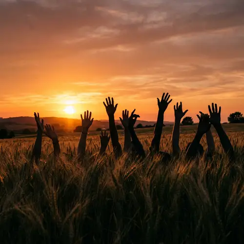 Celebrating Hands Silhouette at Sunset in Wheat Field