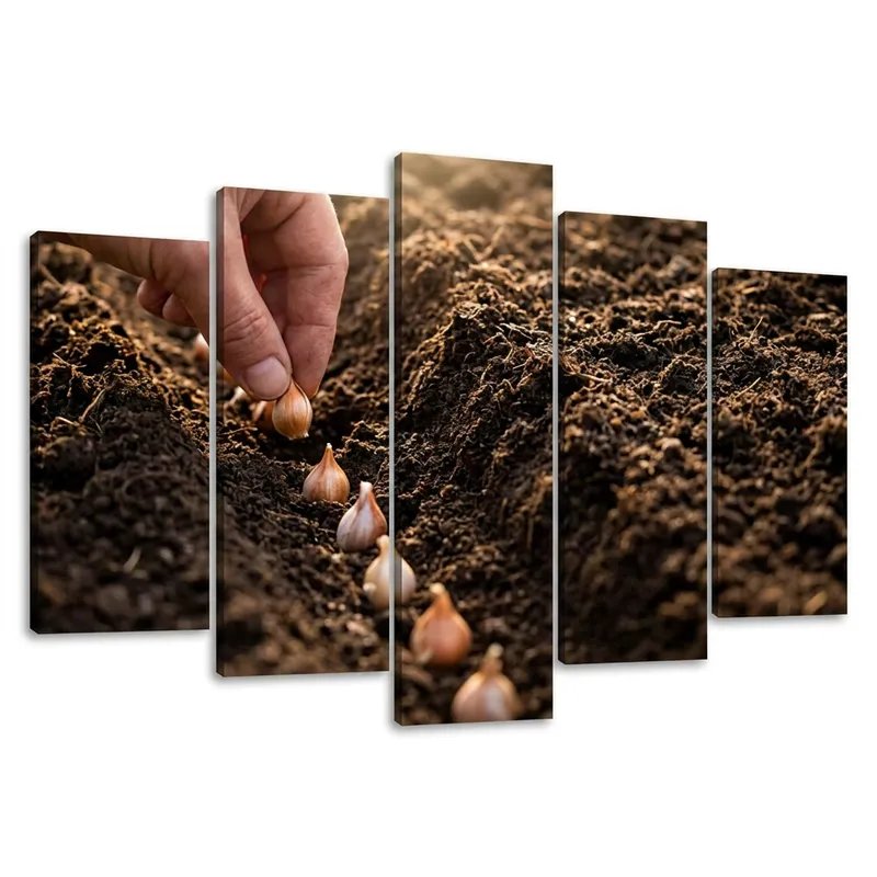 Garlic Growth Stages: Cultivation and Harvest Guide for Success